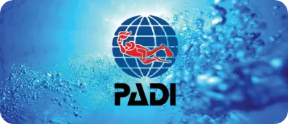 PADI